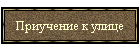 Приучение к улице